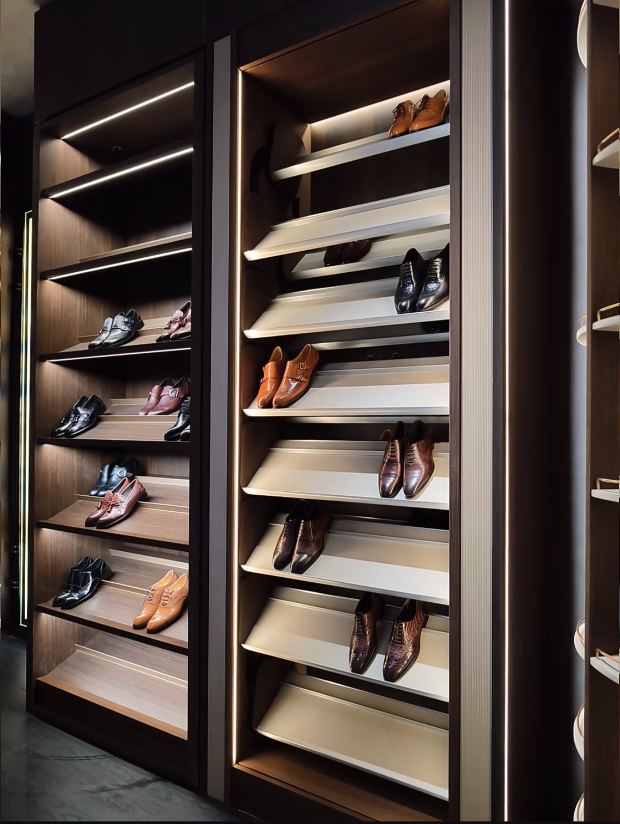 Closet in a dark finish